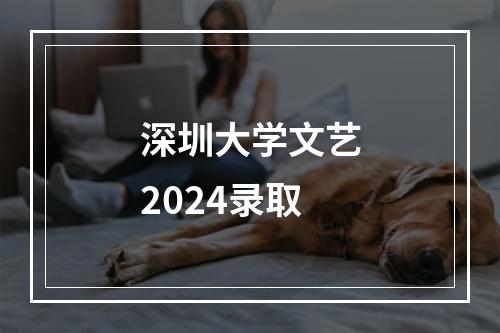 深圳大学文艺2024录取