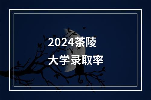 2024茶陵大学录取率