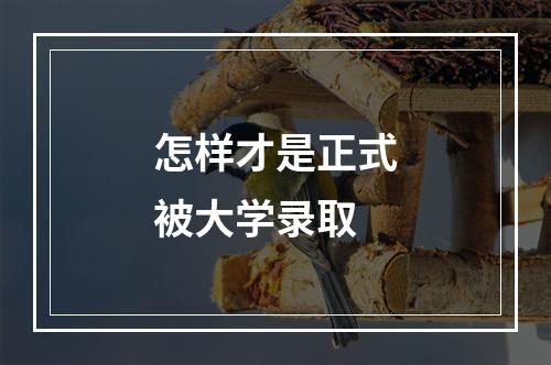 怎样才是正式被大学录取