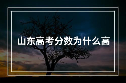 山东高考分数为什么高