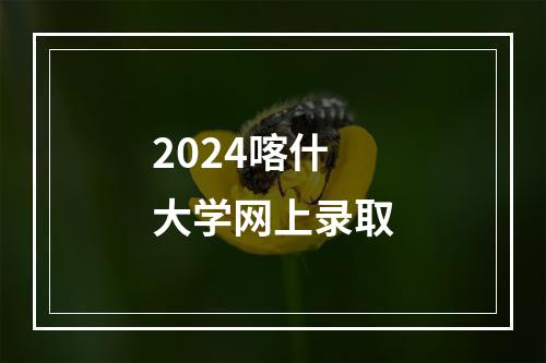 2024喀什大学网上录取