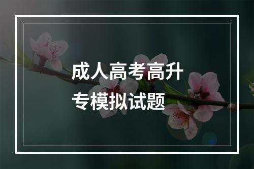 成人高考高升专模拟试题