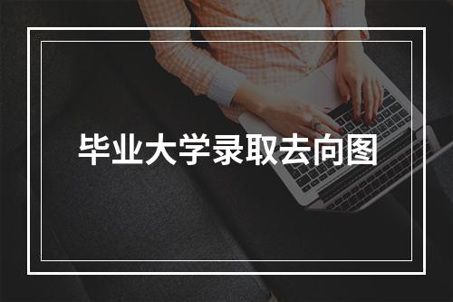 毕业大学录取去向图