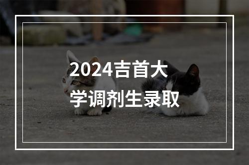 2024吉首大学调剂生录取