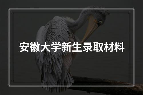 安徽大学新生录取材料