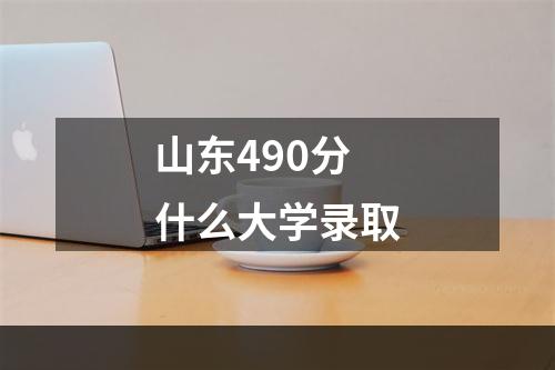 山东490分什么大学录取