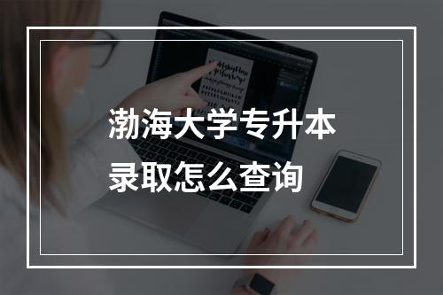 渤海大学专升本录取怎么查询