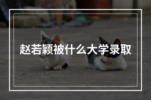 赵若颖被什么大学录取