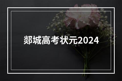 郯城高考状元2024