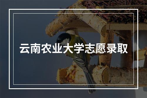 云南农业大学志愿录取