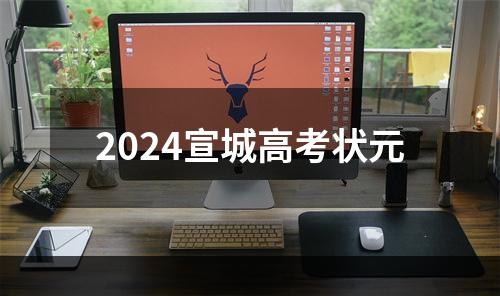 2024宣城高考状元