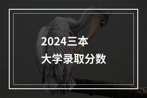 2024三本大学录取分数