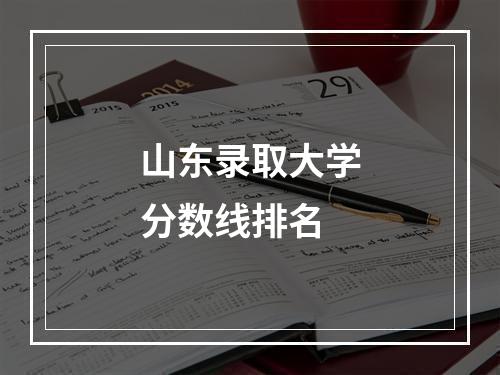 山东录取大学分数线排名