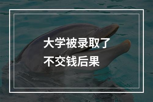 大学被录取了不交钱后果