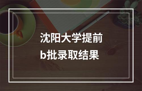 沈阳大学提前b批录取结果