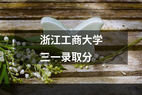 浙江工商大学三一录取分