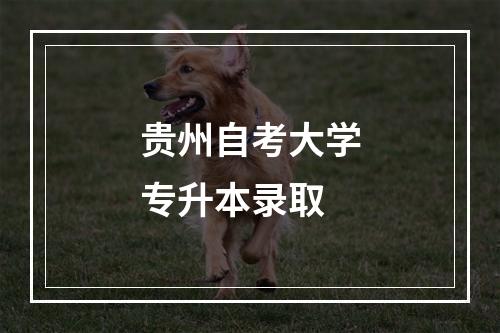 贵州自考大学专升本录取