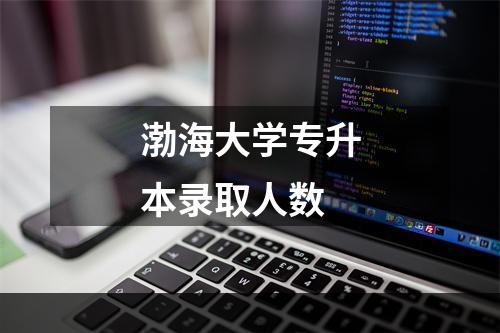 渤海大学专升本录取人数