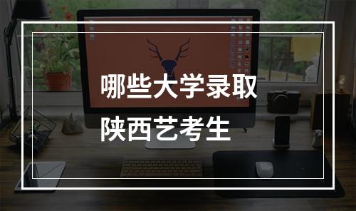 哪些大学录取陕西艺考生