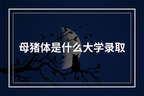 母猪体是什么大学录取