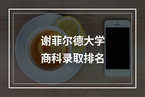 谢菲尔德大学商科录取排名