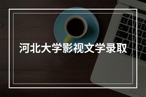 河北大学影视文学录取