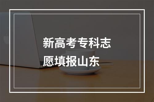 新高考专科志愿填报山东