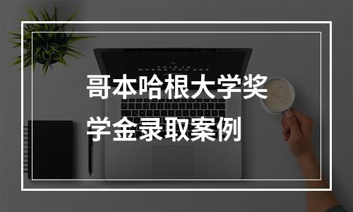 哥本哈根大学奖学金录取案例