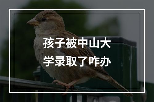 孩子被中山大学录取了咋办