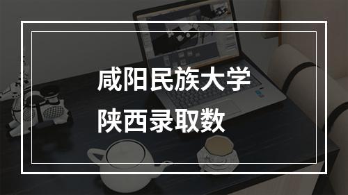 咸阳民族大学陕西录取数