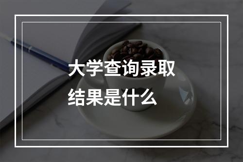 大学查询录取结果是什么