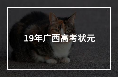 19年广西高考状元