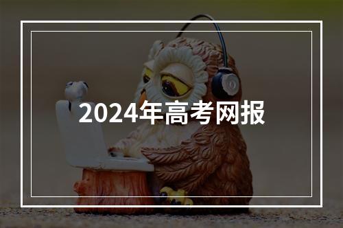 2024年高考网报