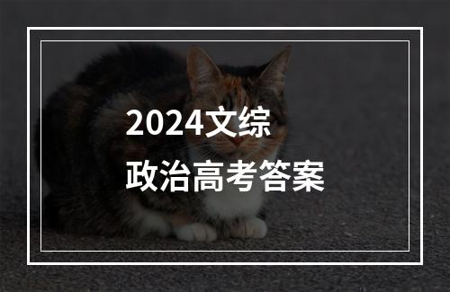 2024文综政治高考答案