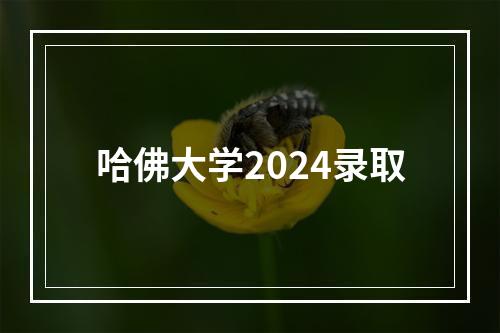 哈佛大学2024录取