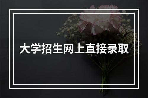 大学招生网上直接录取