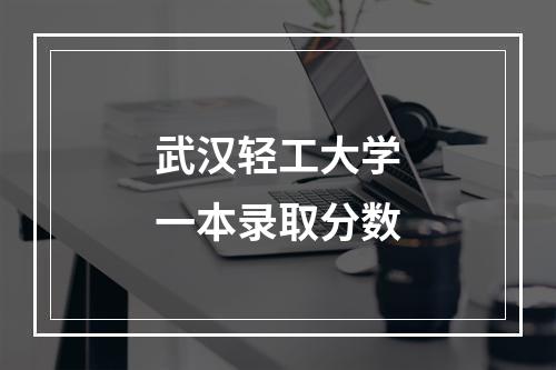 武汉轻工大学一本录取分数