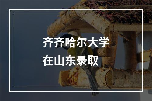 齐齐哈尔大学在山东录取