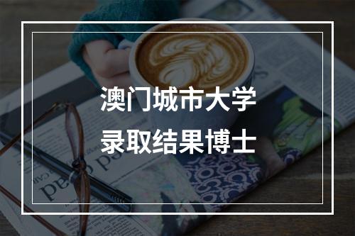 澳门城市大学录取结果博士