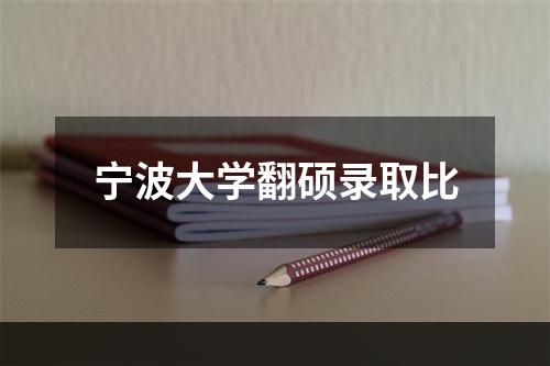 宁波大学翻硕录取比