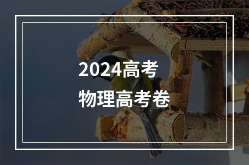 2024高考物理高考卷