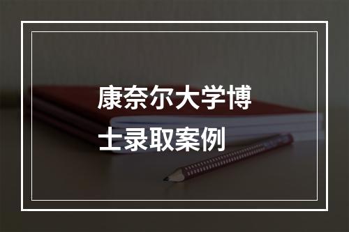 康奈尔大学博士录取案例