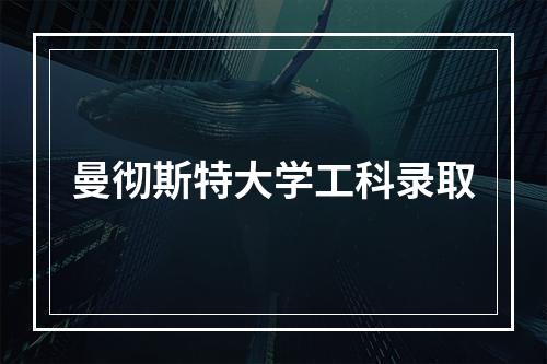 曼彻斯特大学工科录取