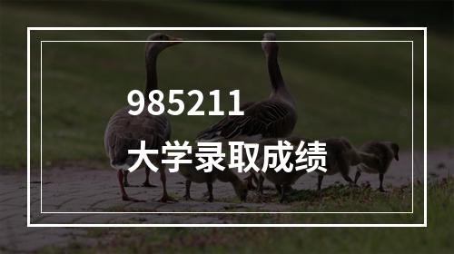 985211大学录取成绩