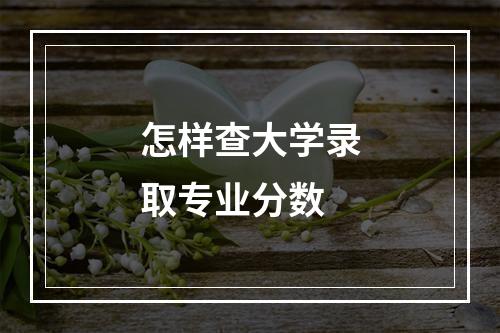 怎样查大学录取专业分数