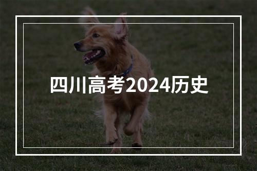 四川高考2024历史