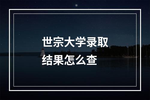 世宗大学录取结果怎么查