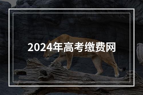 2024年高考缴费网