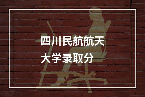 四川民航航天大学录取分