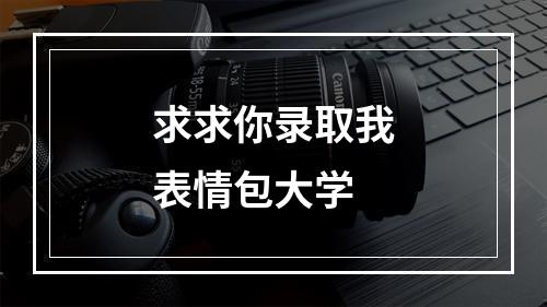 求求你录取我表情包大学